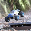 1/10 Scale Radio Control Mad Truck Off-Road Buggy (READY TO RUN)